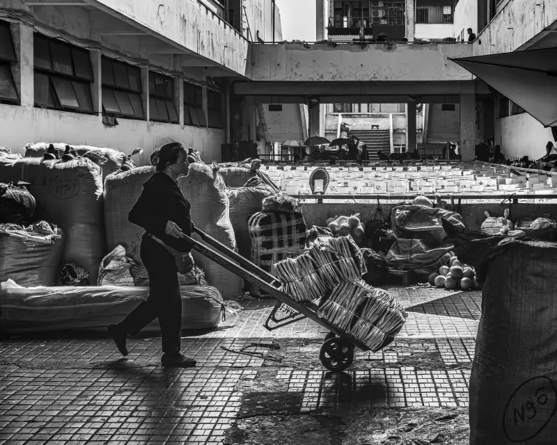 医院管理策划中数据驱动决策的应用前景与实施要点